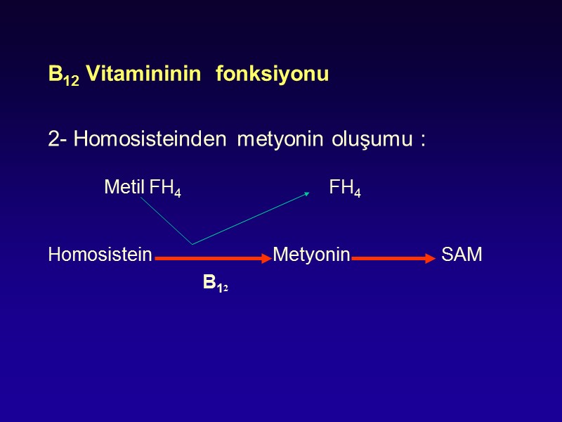 B12 Vitamininin  fonksiyonu 2- Homosisteinden metyonin oluşumu :    Metil FH4
